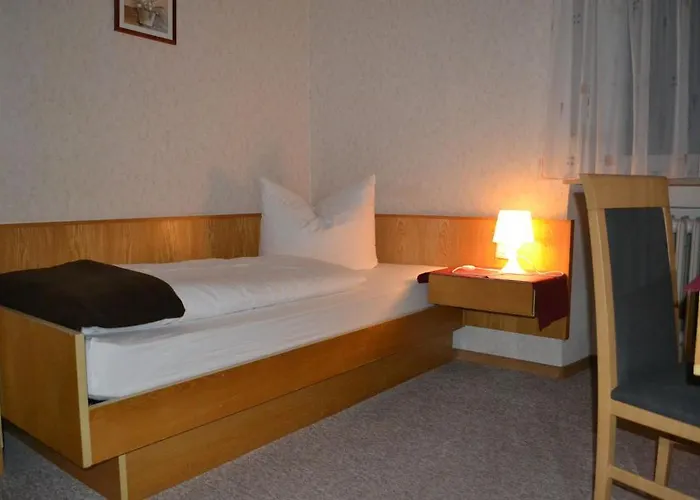 Walfisch Hotel 2*
